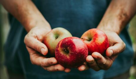 Δύο μήλα την ημέρα μειώνουν τον κίνδυνο καρδιοπάθειας