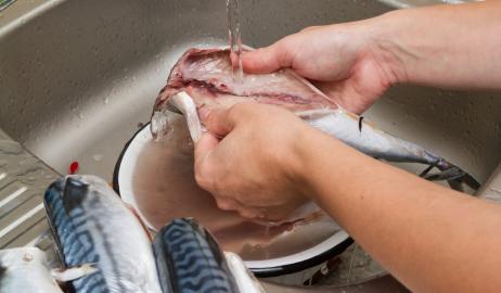 Το καλό καθάρισμα των ψαριών είναι θέμα υγείας
