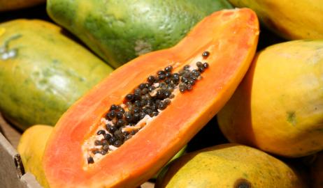 Papaya Υπερτροφή και φυσικό θεραπευτικό