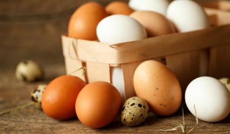 Γιατί μερικοί κρόκοι και τσόφλια αυγών έχουν διαφορετικά χρώματα;