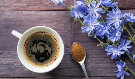 Καφές από ραδίκια, η φυσική μη-καφεϊνούχα εναλλακτική