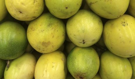 Αυτό το φρούτο του Αμαζονίου μπορεί να βοηθήσει στην πρόληψη της παχυσαρκίας