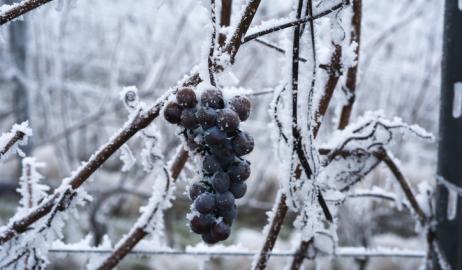 Κρασιά του πάγου που θα ζεσταίνουν το χειμώνα σας 