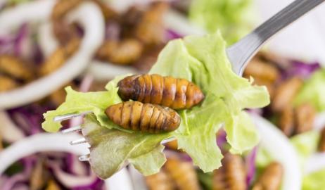 Είναι οι καταναλωτές διατεθειμένοι να τρώνε έντομα για να σώσουν το περιβάλλον;