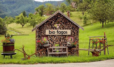 Super διαγωνισμός: Διεκδικήστε ένα καλάθι με βιολογικά προϊόντα από το Βio-fagos.gr!