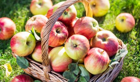 Ενδιαφέροντα διατροφικά - και όχι μόνο- στοιχεία που πιθανώς δεν ξέρετε για τα μήλα