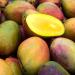 Μάνγκο: Ο βασιλιάς των φρούτων με τις αντικαρκινικές ιδιότητες