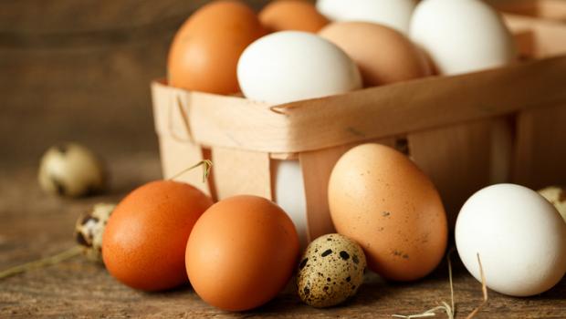 Γιατί μερικοί κρόκοι και τσόφλια αυγών έχουν διαφορετικά χρώματα;