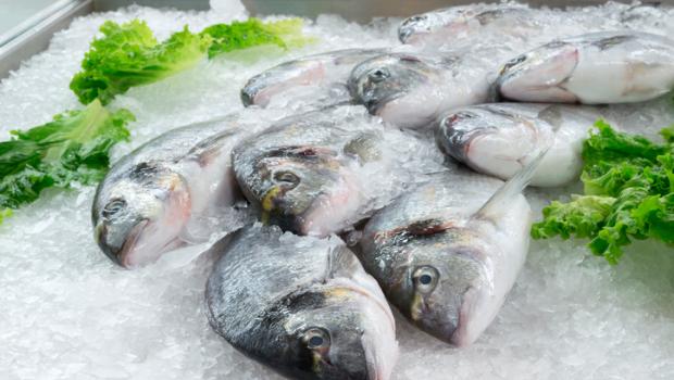 Γιατί τα κατεψυγμένα ψάρια μπορεί να είναι καλύτερα από τα φρέσκα