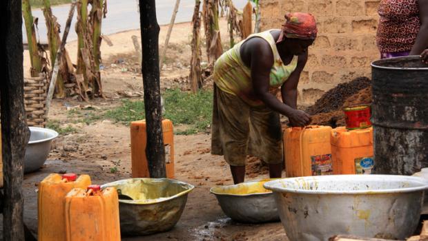 Αφρική: η καλλιέργεια φοινικέλαιου απειλεί τη βιοποικιλότητα